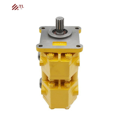 Le client a besoin d'une pompe double 16T-70-10000 avec soupape magnétique.