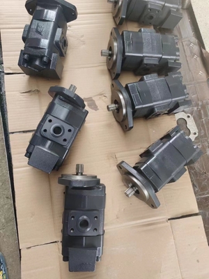 14530502 14531413 14576326 14573559 14880006 14561971 Pompes à engrenages Pour EC360